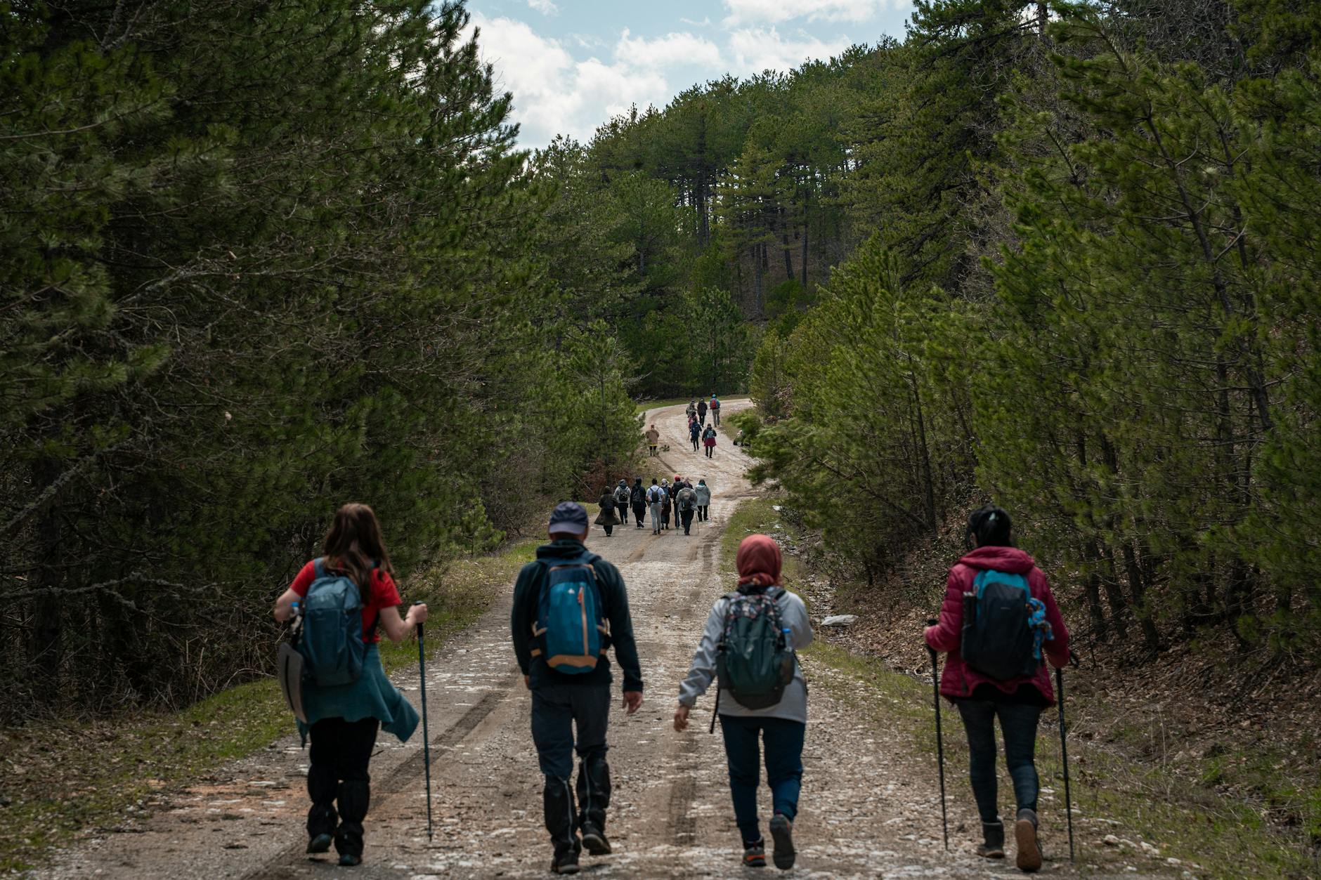 Kinder gehen mit Stöcken durch den Wald