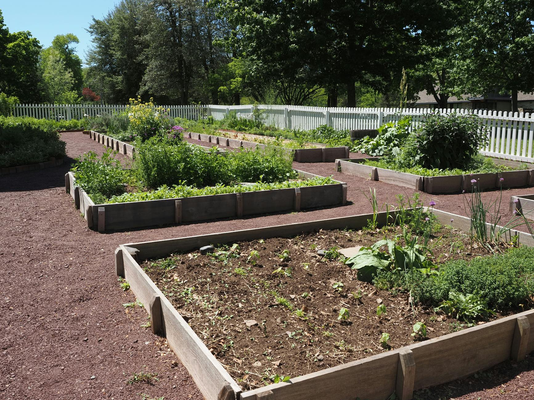 Lebendiger Gemeinschaftsgarten